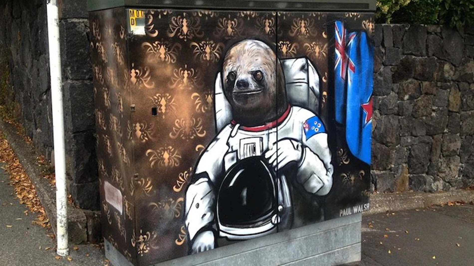 El oso astronauta El oso astronauta