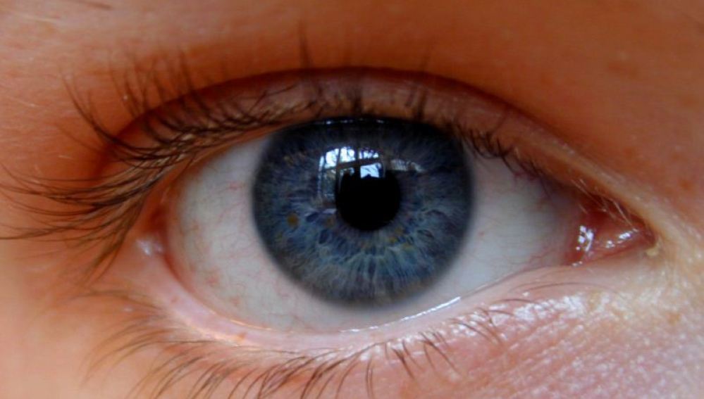 Imagen de un iris de color azul