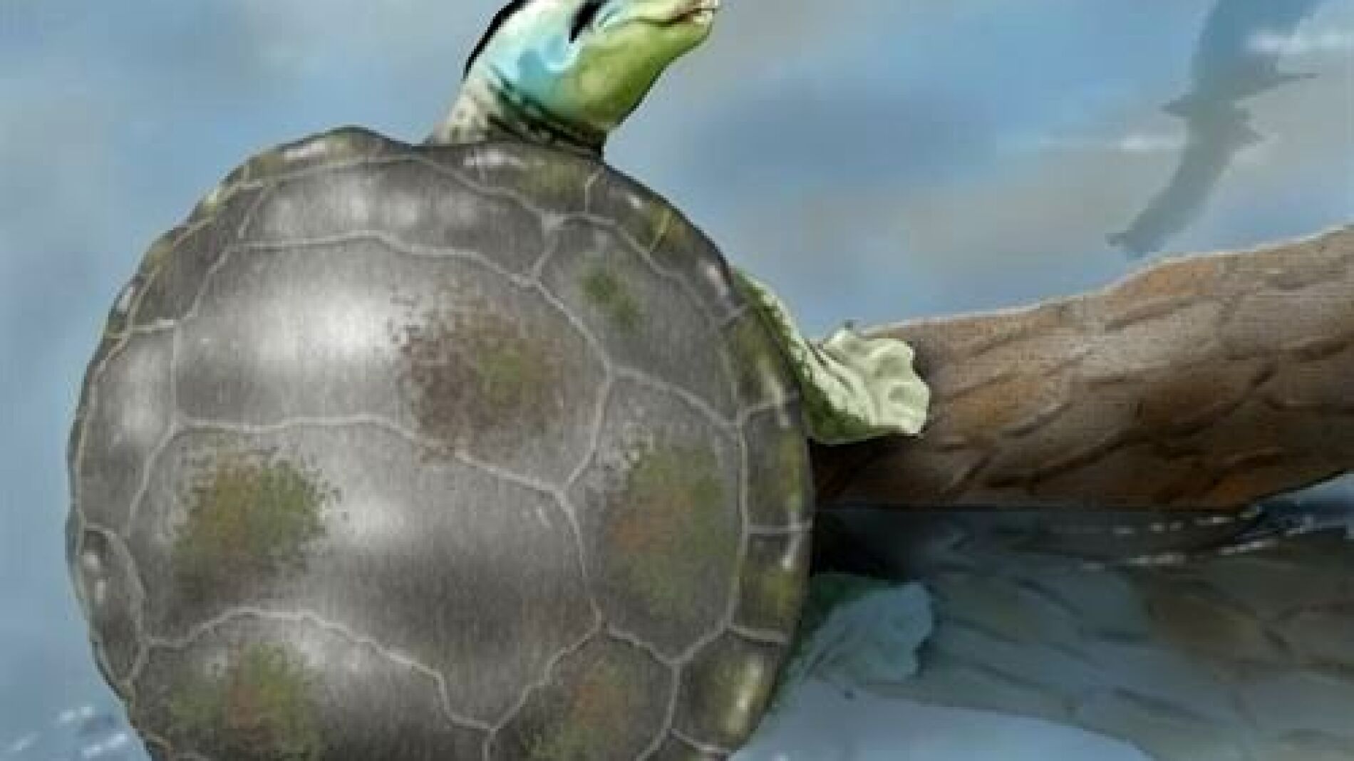 Recreaci&oacute;n de la tortuga jur&aacute;sica descubierta
