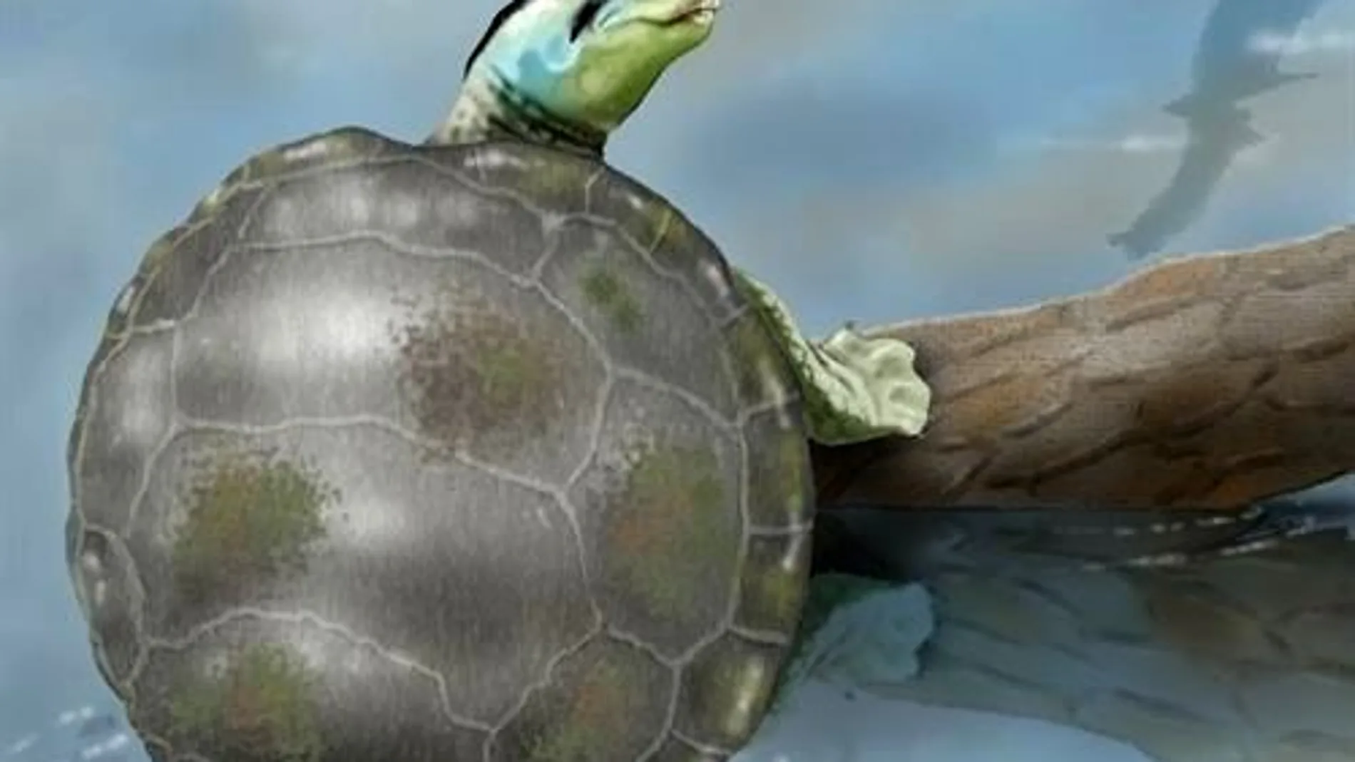 Recreación de la tortuga jurásica descubierta Recreación de la tortuga jurásica descubierta