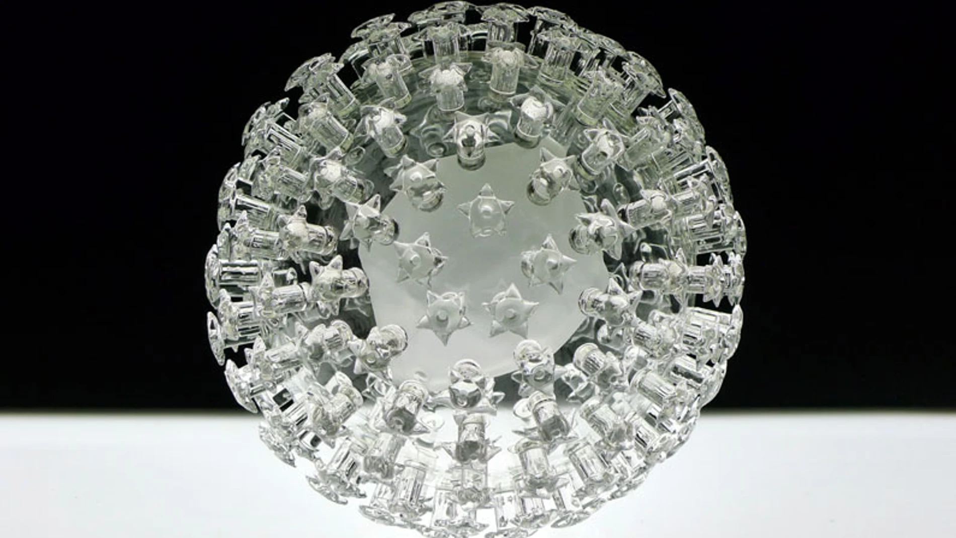 Virus del papiloma humano Virus del papiloma humano