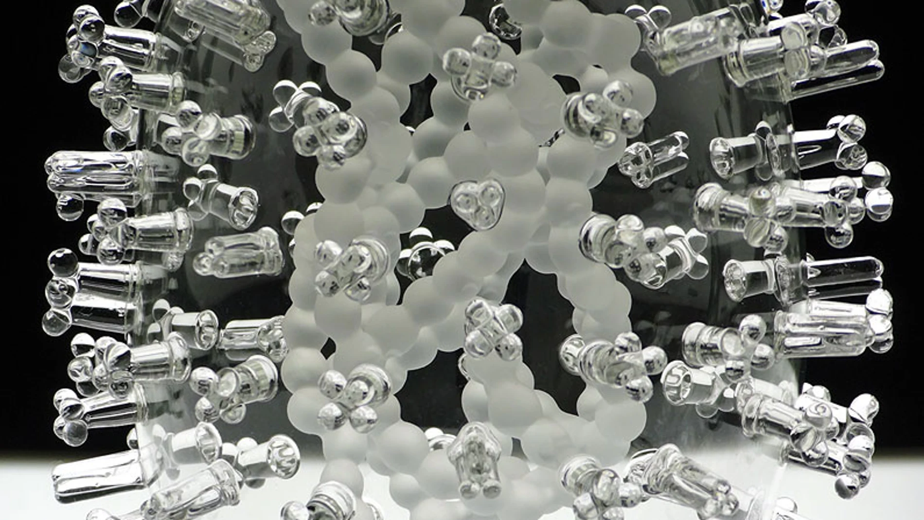 Gripe aviar Gripe aviar