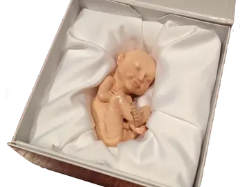 Los bebés ya no sólo llegan de las cigüeñas... Los bebés ya no sólo llegan de las cigüeñas...