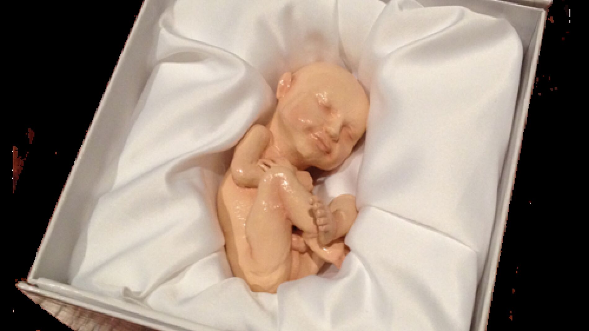 Los beb&eacute;s ya no s&oacute;lo llegan de las cig&uuml;e&ntilde;as...