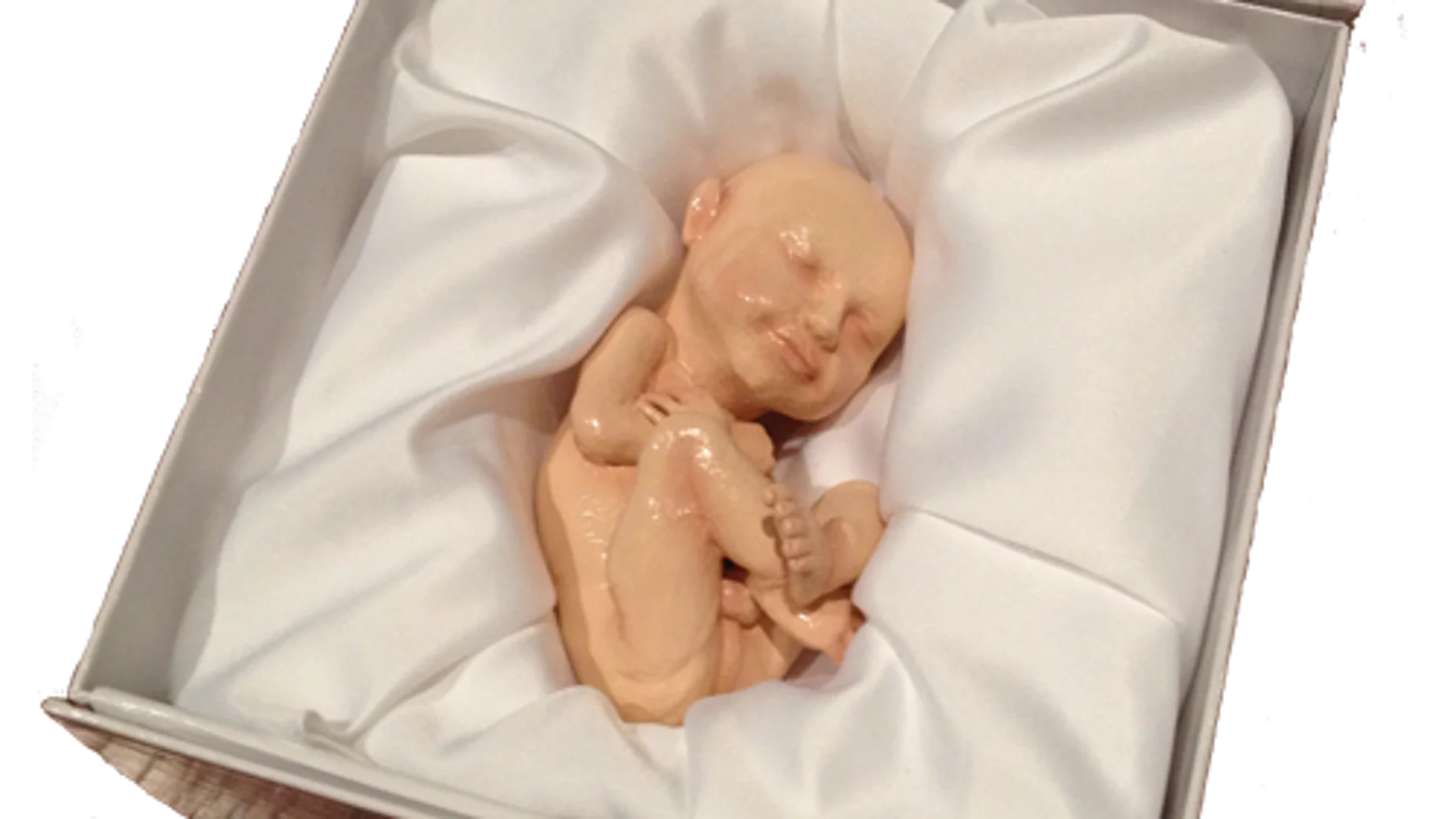 Los bebés ya no sólo llegan de las cigüeñas... Los bebés ya no sólo llegan de las cigüeñas...