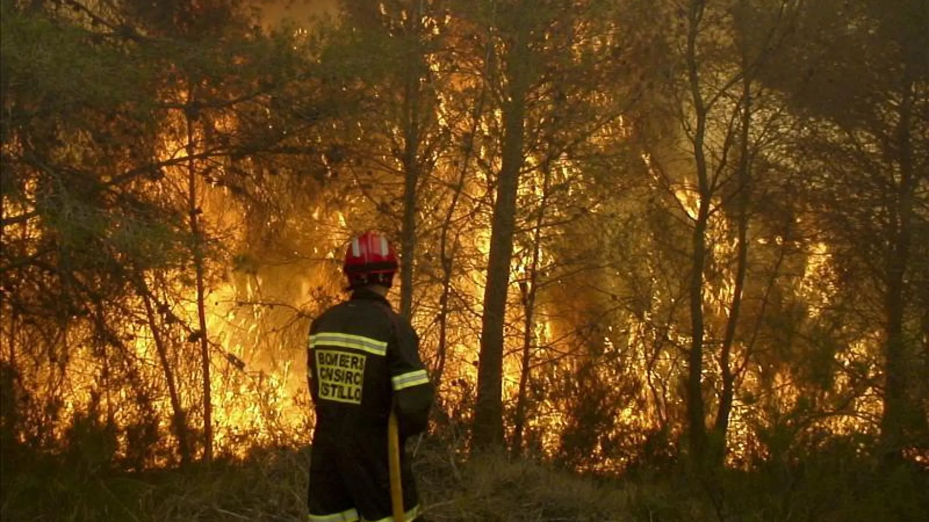 Incendio sin control en Castellón Incendio sin control en Castellón