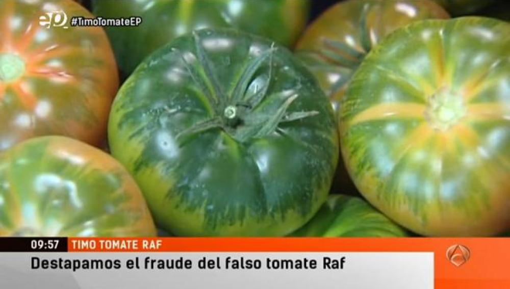 como distinguir el tomate raf