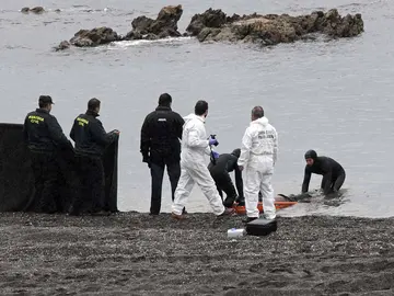 Hallan otros dos cadáveres en Ceuta Hallan otros dos cadáveres en Ceuta