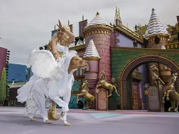 El podenco Ashé se hizo con el 1º Premio del Carnaval Canino de Las Palmas El podenco Ashé se hizo con el 1º Premio del Carnaval Canino de Las Palmas