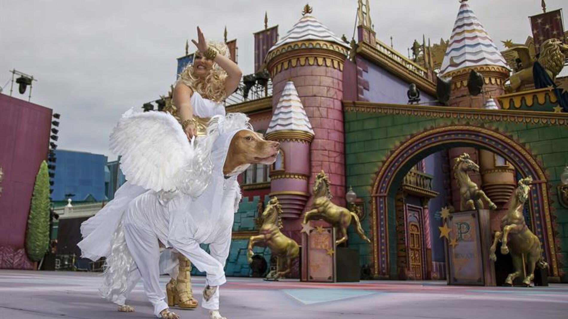 El podenco Ash&eacute; se hizo con el 1&ordm; Premio del Carnaval Canino de Las Palmas