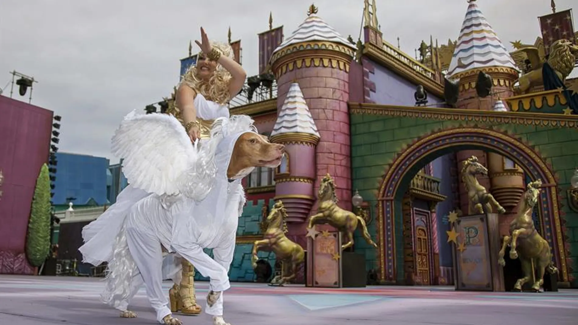 El podenco Ashé se hizo con el 1º Premio del Carnaval Canino de Las Palmas El podenco Ashé se hizo con el 1º Premio del Carnaval Canino de Las Palmas