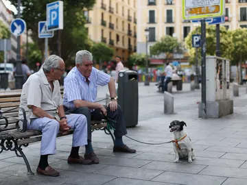 La nueva ordenanza obligará a los dueños a llevar a los perros atados La nueva ordenanza obligará a los dueños a llevar a los perros atados