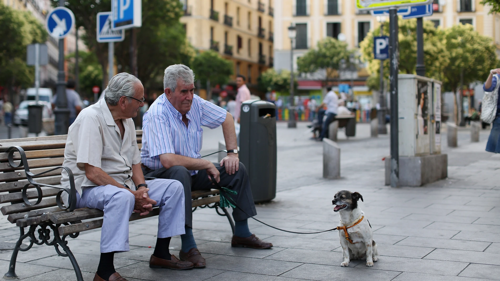 La nueva ordenanza obligará a los dueños a llevar a los perros atados La nueva ordenanza obligará a los dueños a llevar a los perros atados