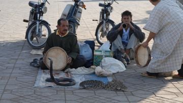 Encantadores de serpientes en Marrakech