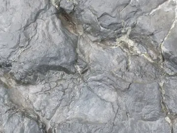 Huella de Iberosauripus grandis (original y silueta) en el yacimiento El Castellar Huella de Iberosauripus grandis (original y silueta) en el yacimiento El Castellar