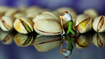 Un hombre intenta abrir una cáscara de pistacho