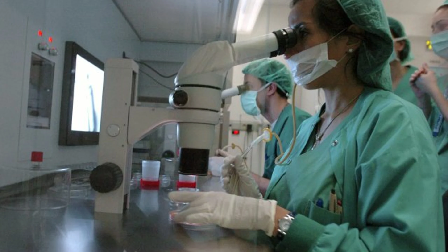 La investigación es clave en la lucha contra las enfermedades raras La investigación es clave en la lucha contra las enfermedades raras