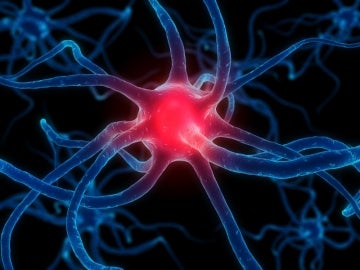 Imágenes de resonancia magnética de alto campo pueden permitir el diagnóstico temprano del Parkinson