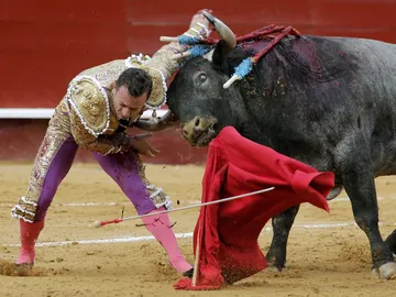 Rafaelillo Rafaelillo
