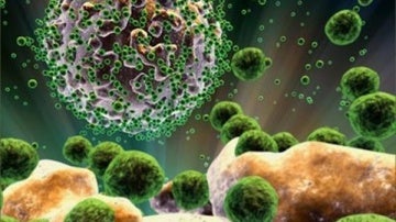 Científios estadounidenses hallan en un hombre con lupus y cáncer la posible clave contra el VIH