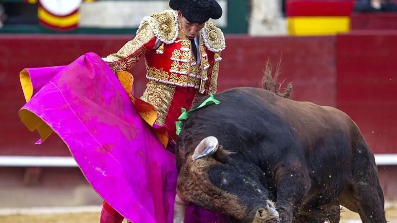 Jiménez Fortes con el capote al toro 'Sabueso'