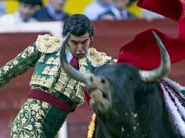 El diestro sevillano "Morante de la Puebla" en la faena de muleta a "Dardabasi" El diestro sevillano "Morante de la Puebla" en la faena de muleta a "Dardabasi"