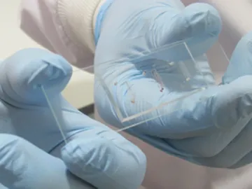 Imagen de un chip Imagen de un chip