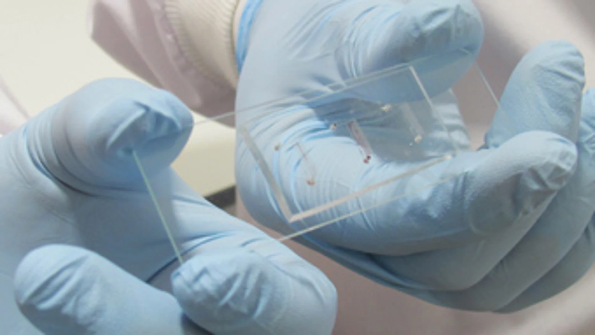 Imagen de un chip Imagen de un chip