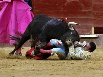 El torero Enrique Ponce sufre un percance con el primer toro de su lote El torero Enrique Ponce sufre un percance con el primer toro de su lote