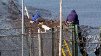 Unos 300 subsaharianos intentan entrar en Melilla y al menos 20 lo consiguen