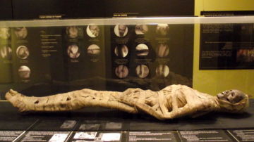 La momia en el Museo Darder de Banyoles