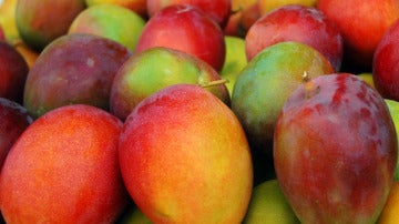 Varios mangos