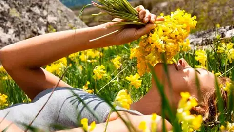 Beauty Planet alerlgia Beauty Planet alerlgia