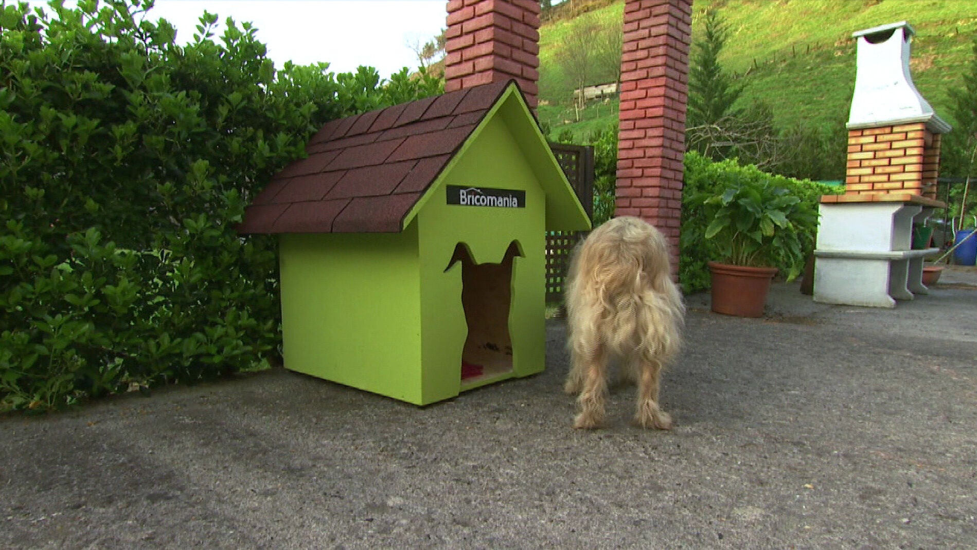Te ense&ntilde;amos c&oacute;mo construir una caseta para el perro