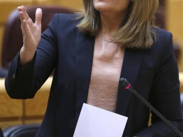 Fátima Báñez en la sesión de control al Gobierno
