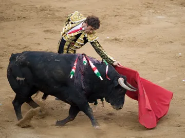 José Tomás en el coso José Tomás en el coso