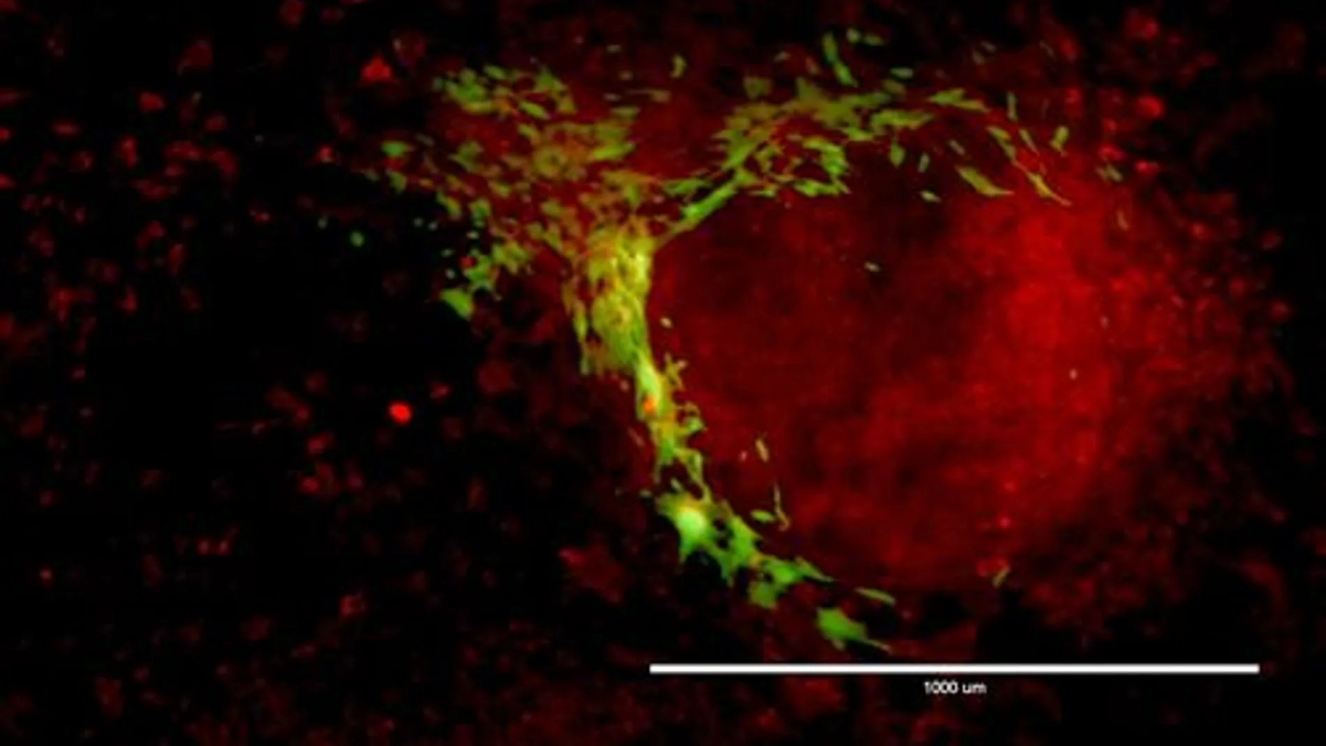 Foto del Centro de Regulación Genómica Foto del Centro de Regulación Genómica