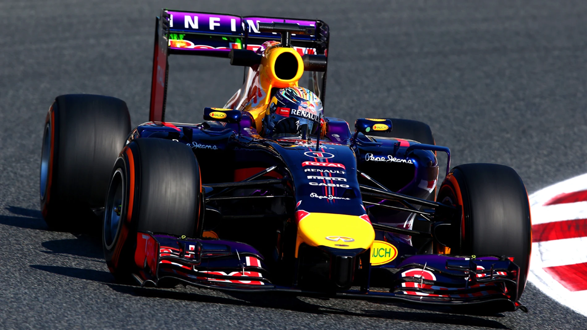 Sebastian Vettel, a bordo del RB10