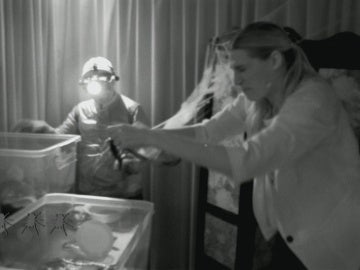 Laura S&aacute;nchez en la mansi&oacute;n Shin Lu