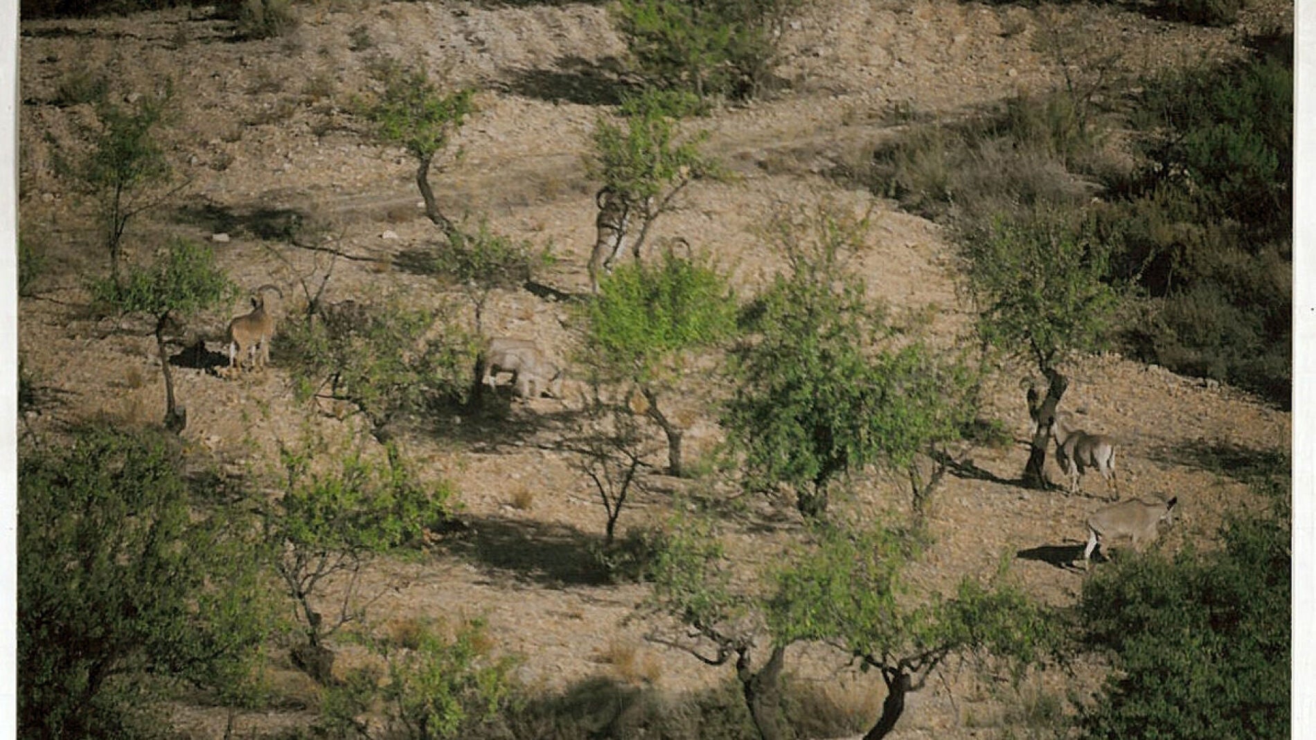 Sierra Espu&ntilde;a, en Murcia