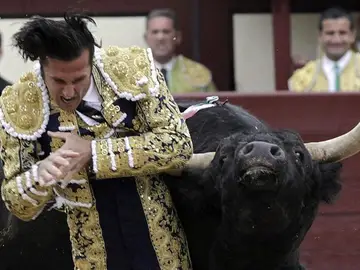 El diestro David Mora, arrollado por su primer toro El diestro David Mora, arrollado por su primer toro