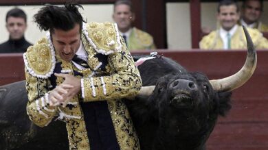 David Mora resulta herido en Las Ventas al recibir a su primer toro