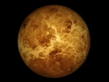 Venus Venus