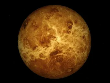 Venus Venus