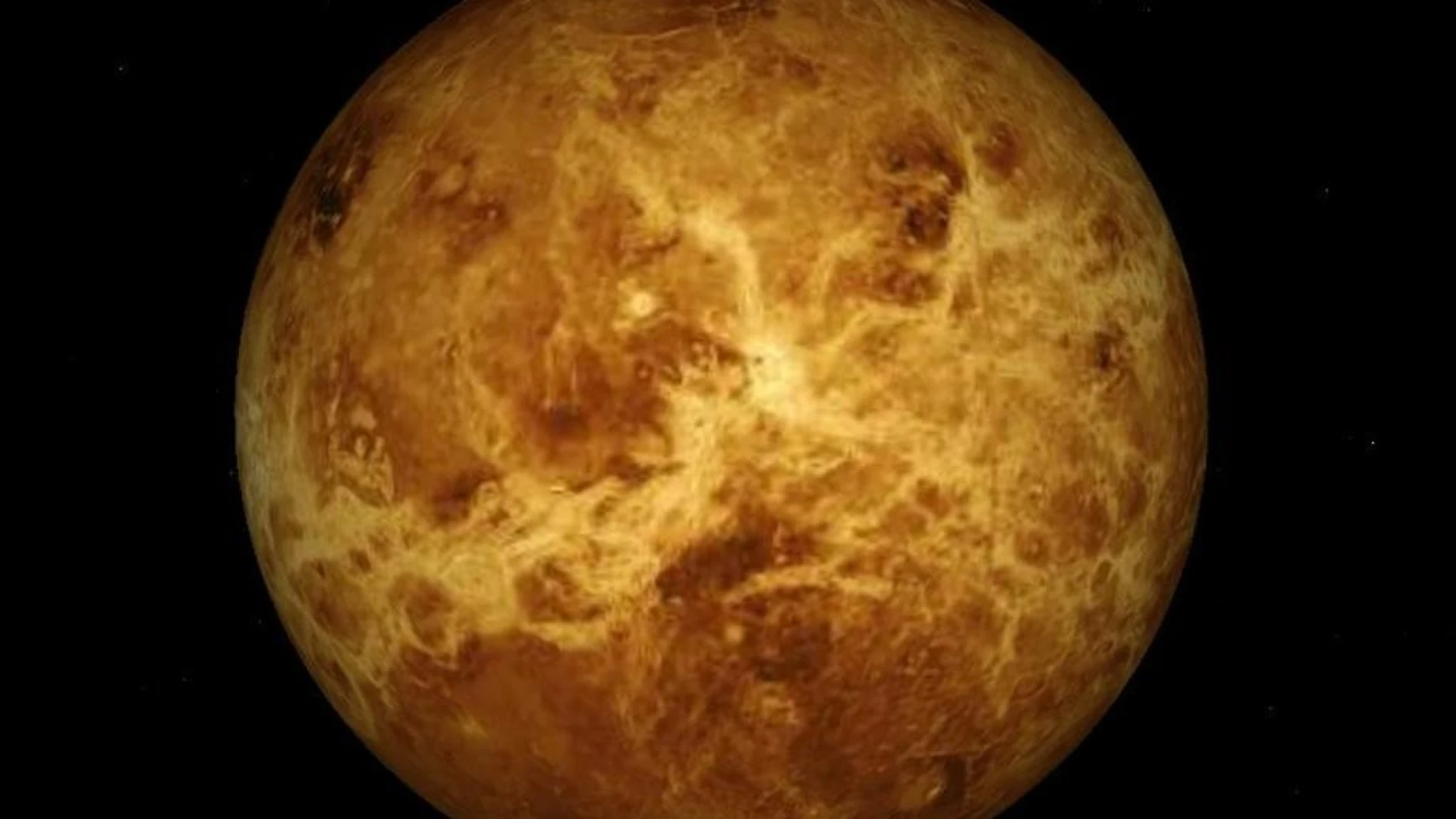 Venus Venus