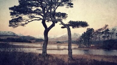 Un fotógrafo realiza impresionantes capturas con su iPhone