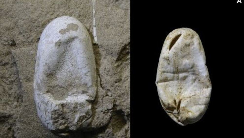 Así son los huevos encontrados