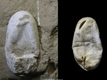 Así son los huevos encontrados Así son los huevos encontrados