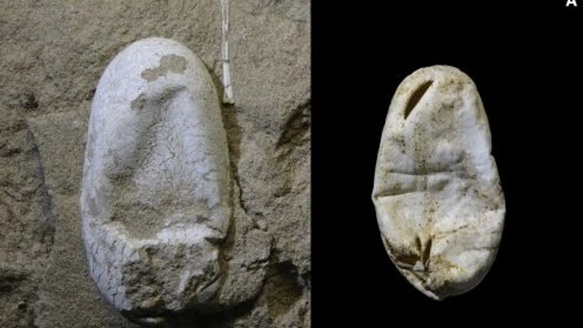 Así son los huevos encontrados Así son los huevos encontrados