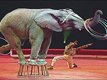 Espectáculo de circo con un elefante.